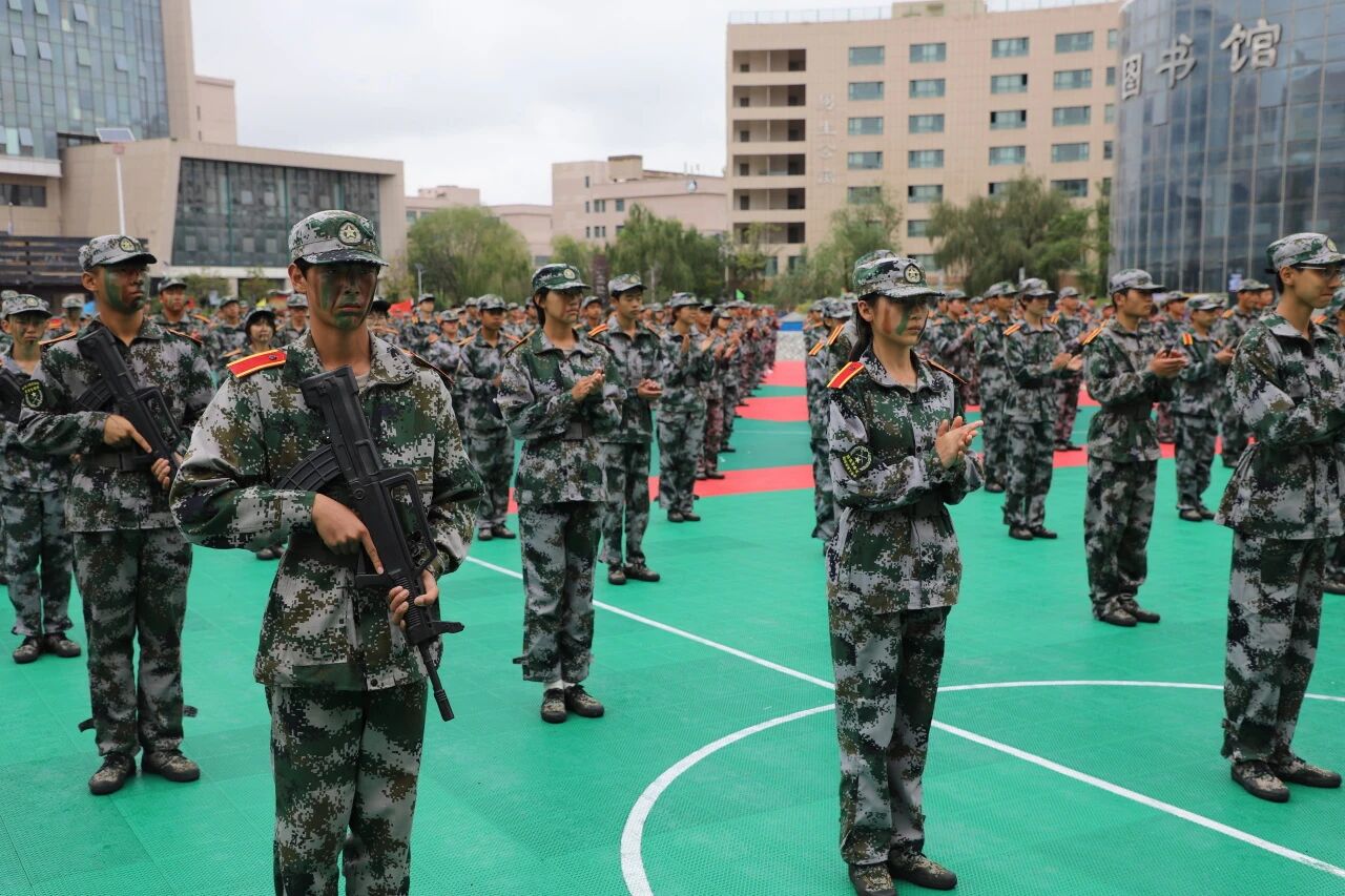 6 6